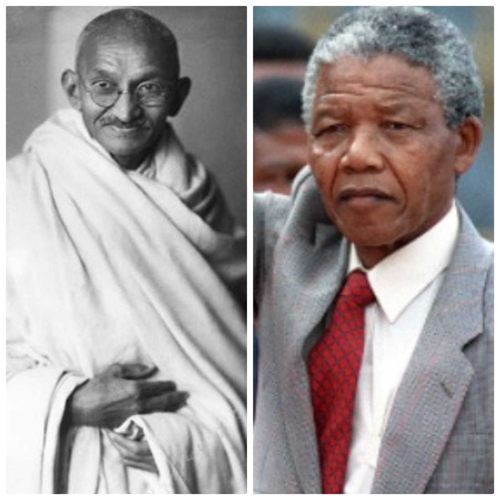 WhatsApp Image 2026-03-08 at 7.53.25 AM.jpeg