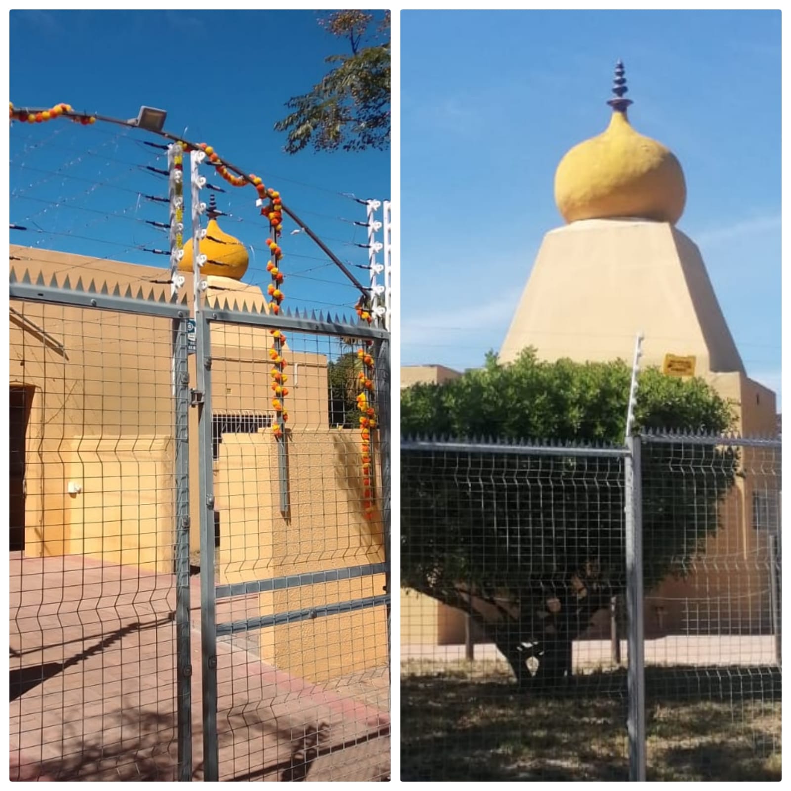 WhatsApp Image 2026-03-08 at 7.35.44 AM.jpeg