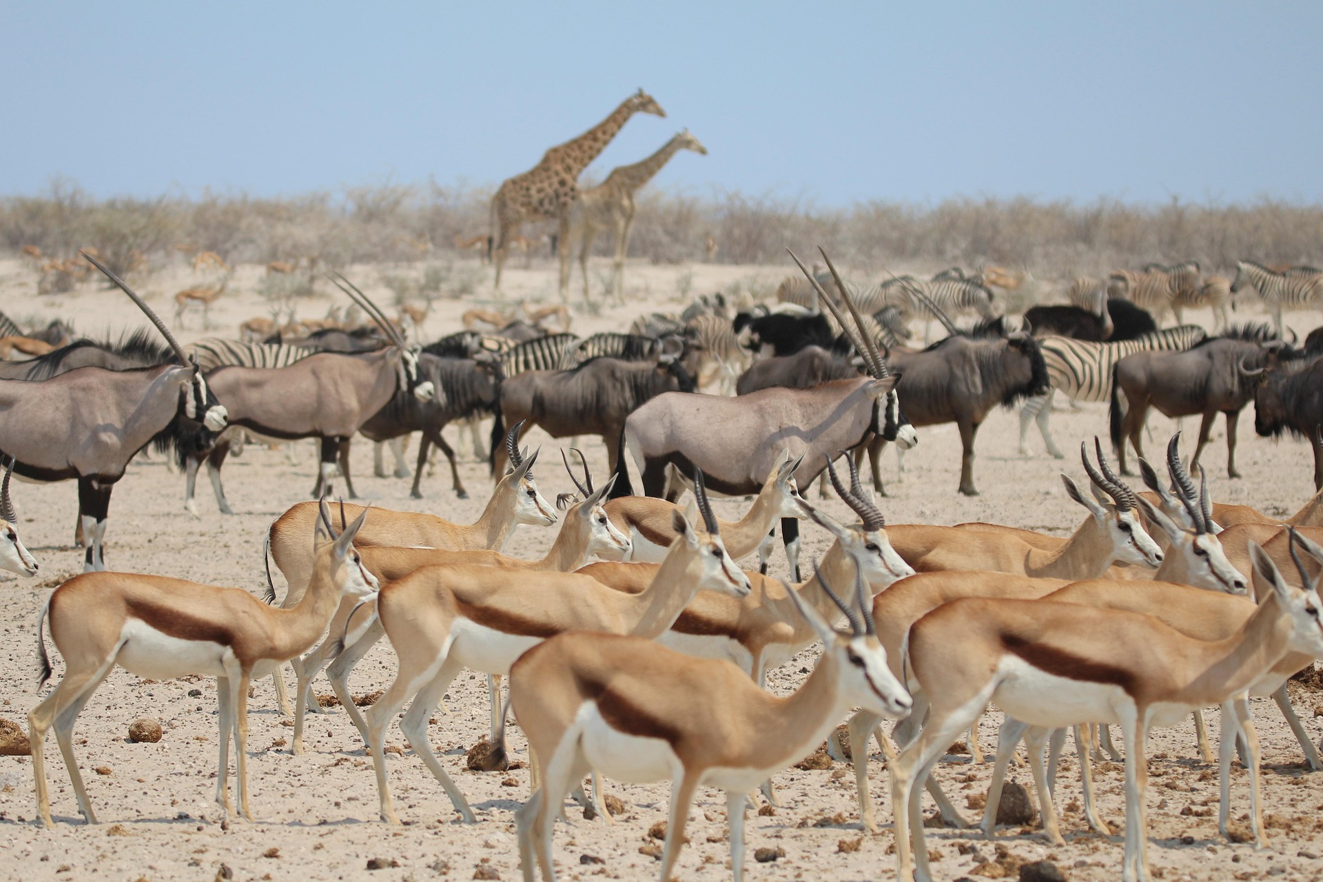 Lake Manyara National Park