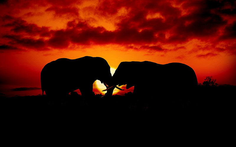Lake Manyara National Park