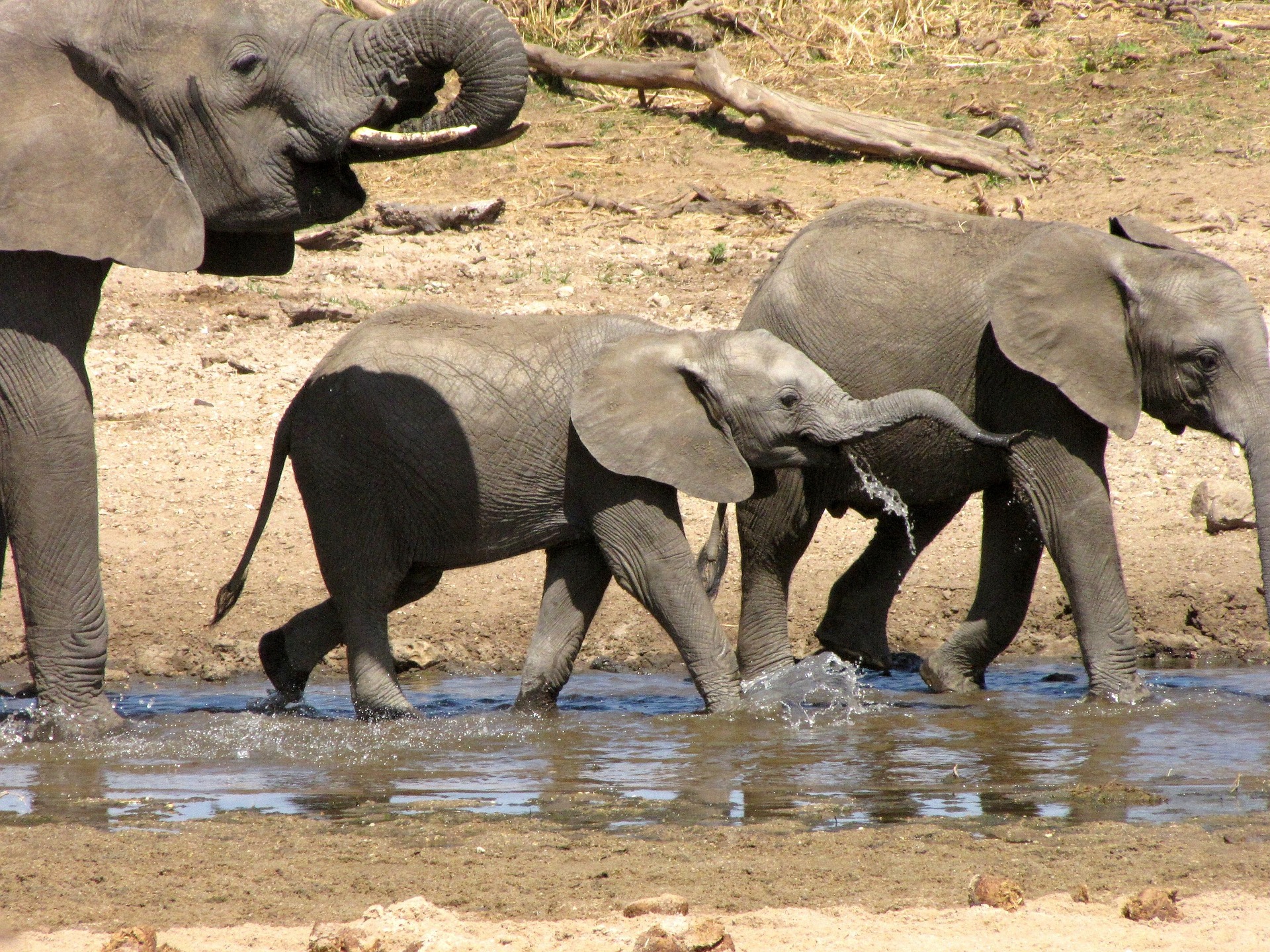 Serengeti National Park