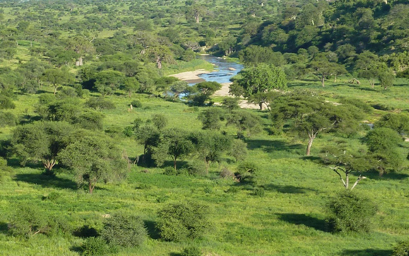 4 DAYS MOUNT MERU CLIMB