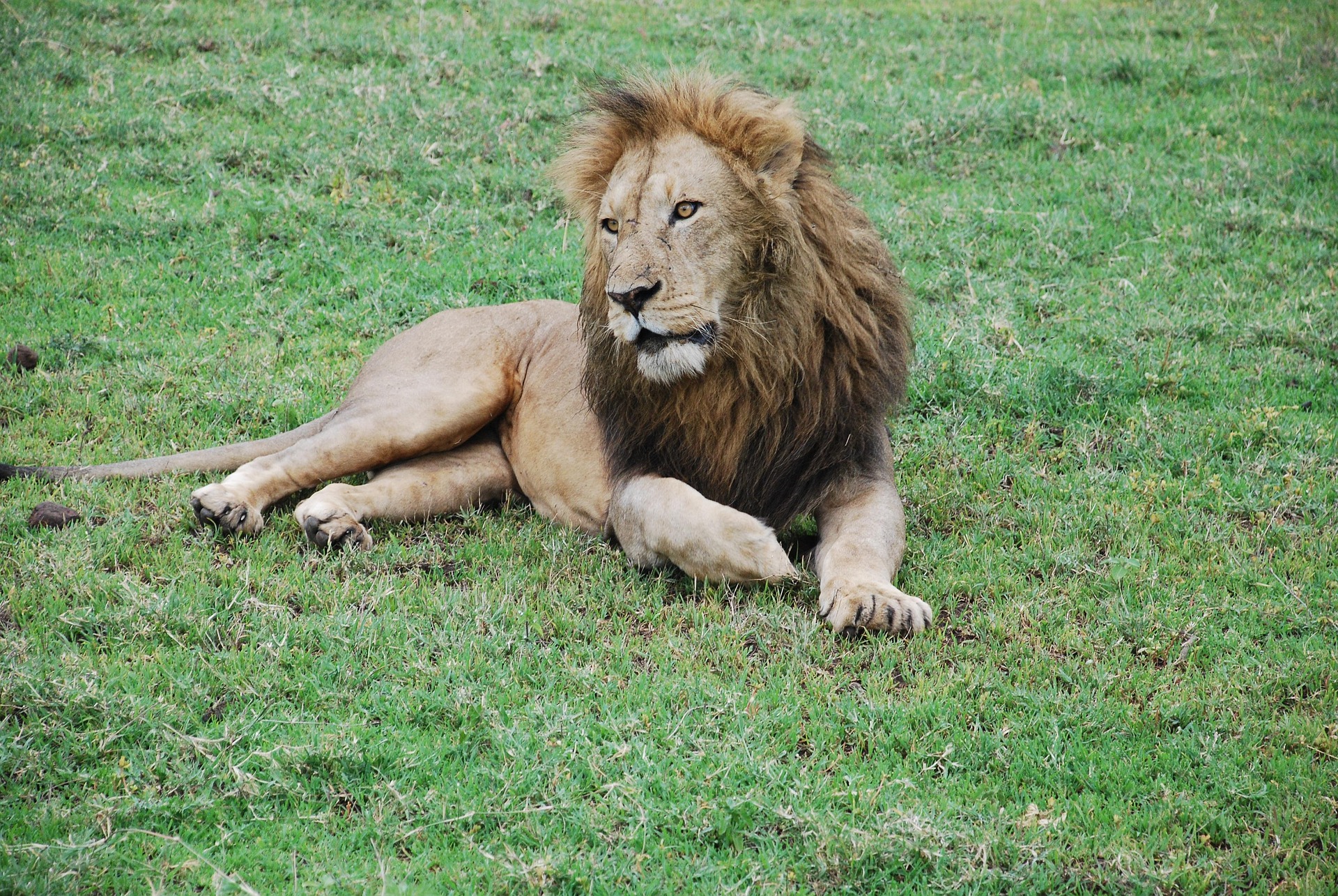 6 DAYS COMBO ADVENTURE (MERU TREKKING & SAFARI)