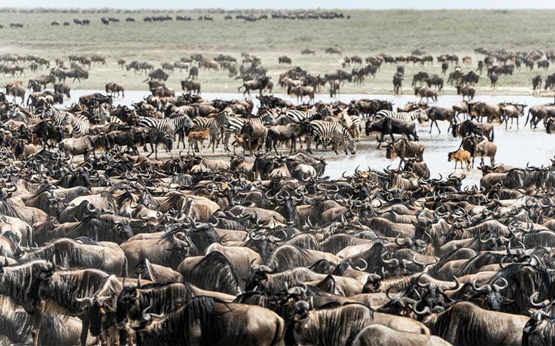 Serengeti National Park