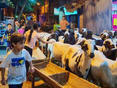 Children Exploring Eid Livestock Market at Night