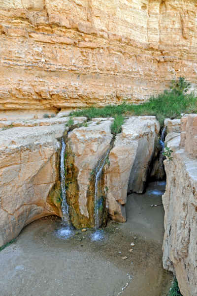 Natural Spring Waterfall, Tamerza Oasis, Tunisia