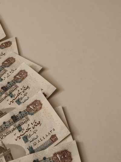 Egyptian Pound Banknotes Fanned on Neutral Background