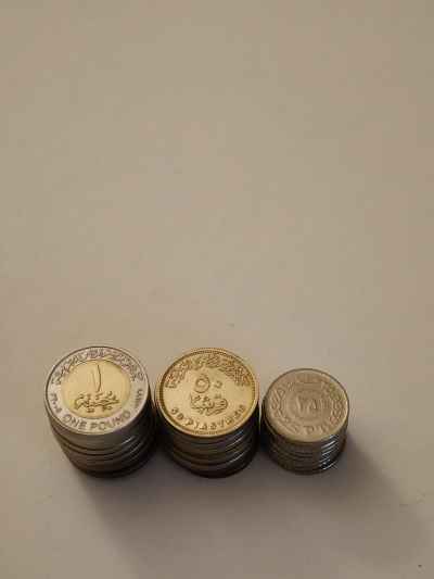 Egyptian Pound Coins Stacked by Denomination
