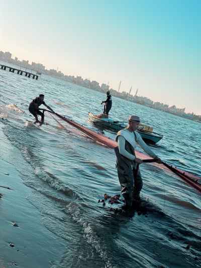 Fishermen Hauling Net on Shore, Ismailia