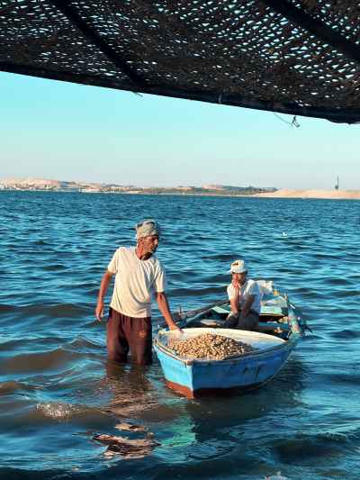 Fishermen with Catch in Wooden Boat, Ismailia Shore