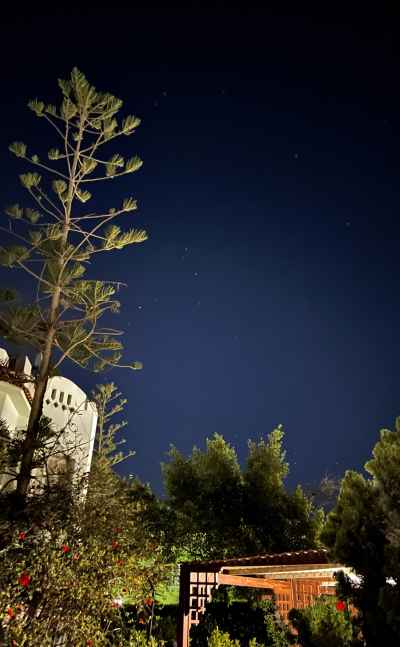 Starry Night Sky Over Green Beach Village, Alexandria