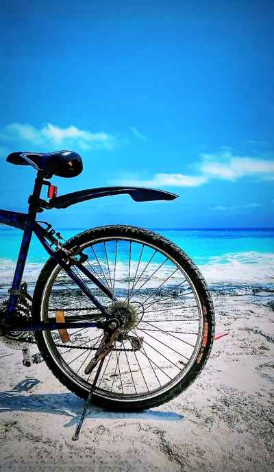 Bicycle Parked on Beach, Green Beach Al-Alameen