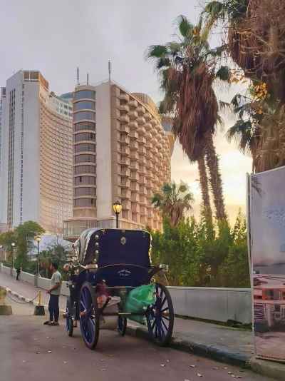 Traditional Hantour Carriage, Garden City Nile Corniche Cairo