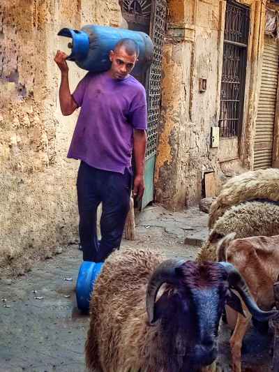 Gas Cylinder Delivery Man and Sheep, Darb Al-Ahmar Cairo