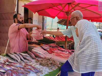 Fresh Fish Market Trading, Sayeda Fish Market Cairo