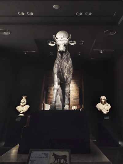 Apis Bull Black Stone Statue, Greco-Roman Museum Alexandria
