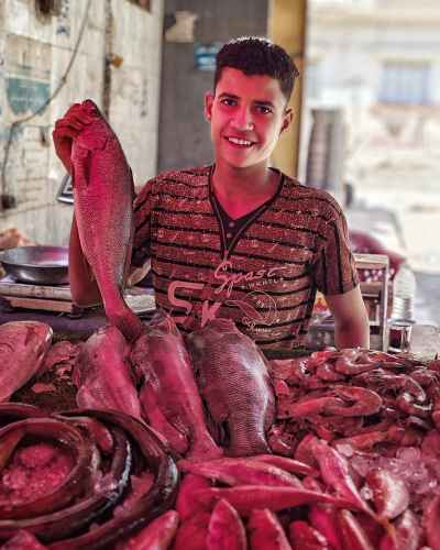 Young Fish Vendor at Sayeda Zeinab Market, Cairo