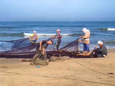 Fishermen Hauling Nets on Beach, Kafr El Sheikh