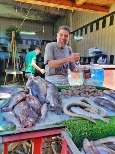 Egyptian Fish Vendor Displaying Fresh Catch, Sayeda Zeinab Cairo