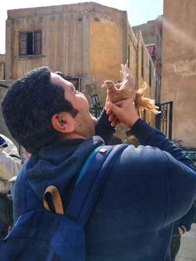 Young Man Holding Carrier Pigeon, Old Cairo Alley