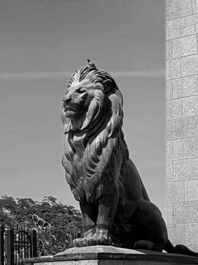 Qasr El Nile Bridge Bronze Lion Statue Cairo