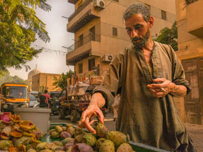 Fig Street Vendor, Al-Ashraf Street, Sayeda Nafisa Cairo