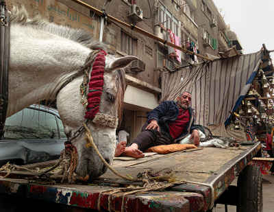 Man Resting on Cart with Horse, Old Cairo Street