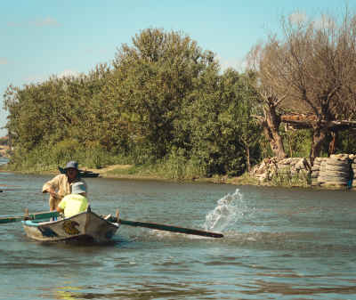 Fisherman Rowing Boat on Nile Canal, Al-Qalyubia