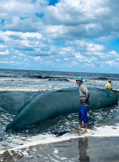 Fisherman Hauling Net on Port Said Beach