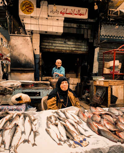 Traditional Fish Market in Alexandria