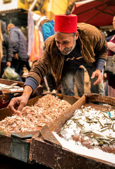 Fish Vendor with Red Fez, Bahri Market Alexandria