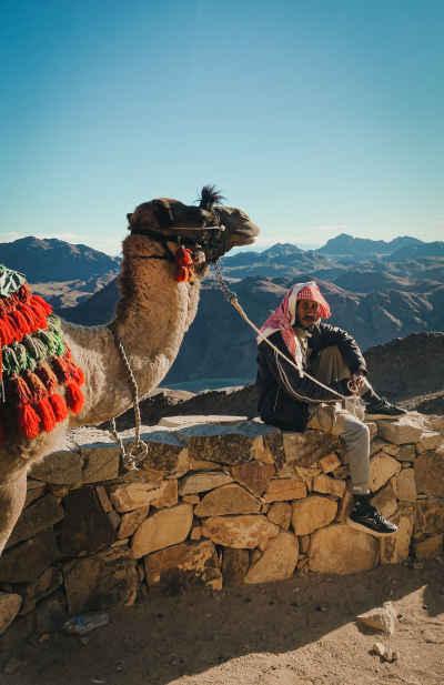 Bedouin Man with Camel, Saint Catherine Sinai