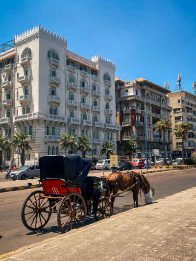 Alexandria Horse Carriage on a Historic City Street