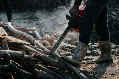 Worker Cutting Wood with Chainsaw, Bilbeis Charcoal Production