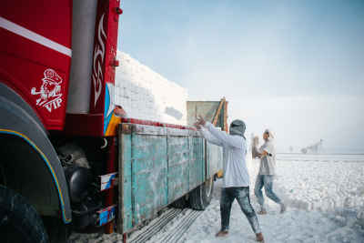 Quarry Workers Loading White Stone Bricks, Minya