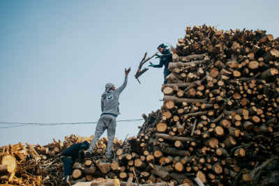 Workers Stacking Logs for Charcoal Kilns, Bilbeis