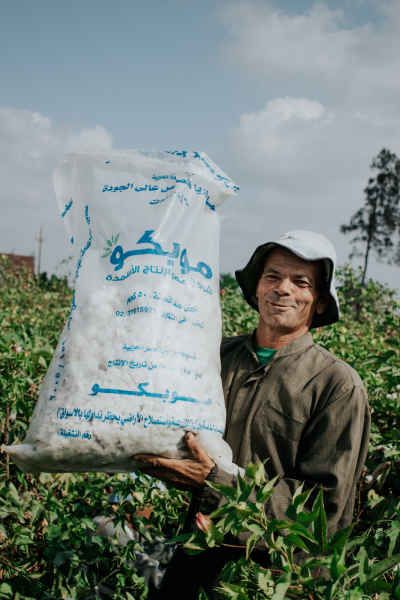 Cotton Harvest Worker, Nimrat Al-Basal, El Mahalla El Kubra