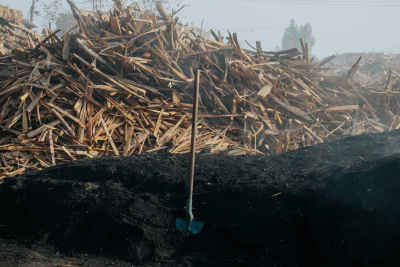 Charcoal Kiln Wood Burning, Bilbeis Sharqia Egypt