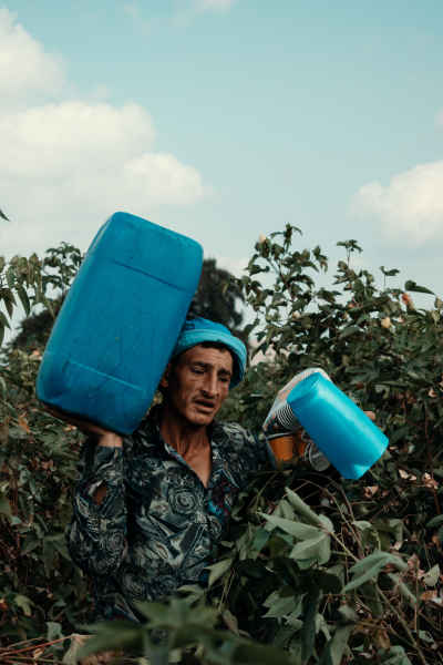Cotton Field Worker Carrying Containers, Nimrat Al-Basal