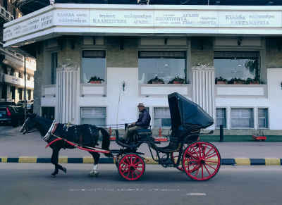 Horse-Drawn Carriage Ride, Raml Station Alexandria