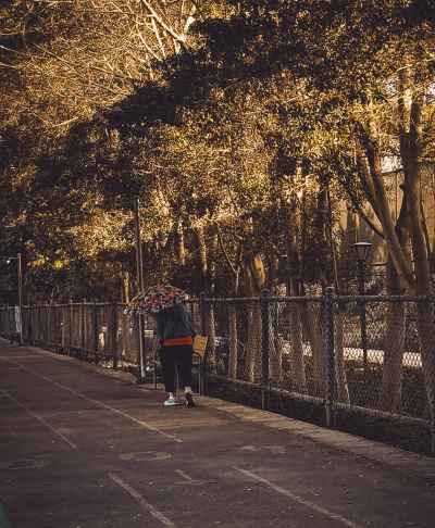 Jogging Track at Egyptian Shooting Club, Dokki