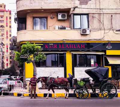 Hantur Horse Carriage, Raml Station Alexandria