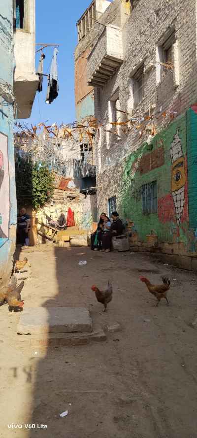 Street Alley with Murals and Chickens, Al-Darb Al-Ahmar Cairo