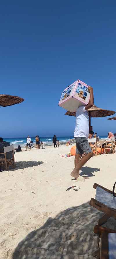 Freska Vendor Carrying Box on Alexandria Beach