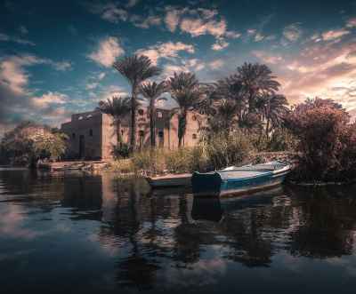 Nile Riverbank with Boats, Palm Trees, Giza