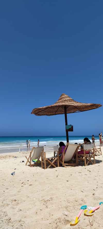 Beach Chairs Under Straw Umbrella, Alexandria Coast