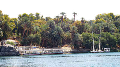 Palm-Lined Nile Shore in Aswan