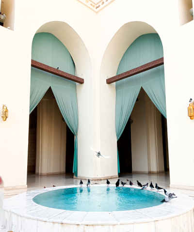 Pigeons at Ablution Pool, Al-Hakim Mosque Cairo