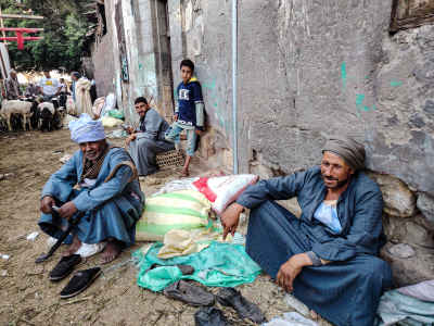 Roadside Herders During Eid Season