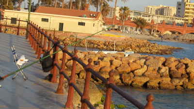 Fishing Rod on Waterfront Bridge, Alexandria